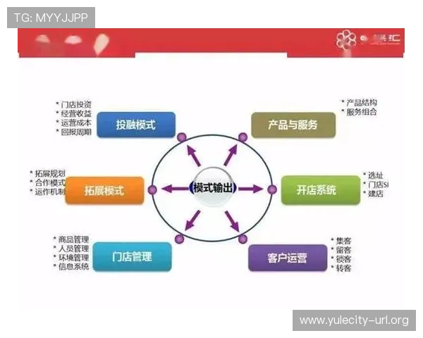 速盈中国：揭示领先企业在快速盈利方面的成功案例与经验